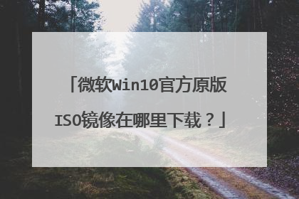 ΢��Win10�ٷ�ԭ��ISO�������������أ�