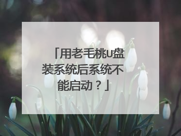 用老毛桃U盘装系统后系统不能启动?