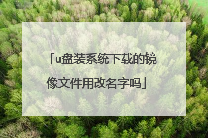 u��װϵͳ���صľ����ļ��ø�������