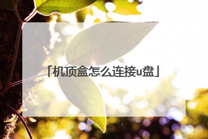 机顶盒怎么连接u盘