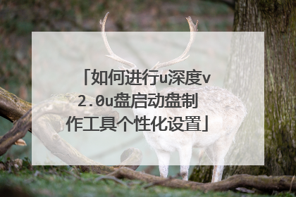 ��ν���u���v2.0u���������������߸��Ի�����