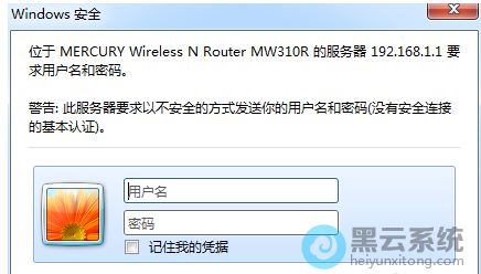 输入浏览器地址