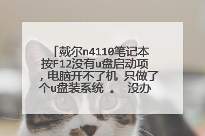 ����n4110�ʼǱ���F12û��u����������Կ����˻� ֻ���˸�u��װϵͳ �� û�취u��������