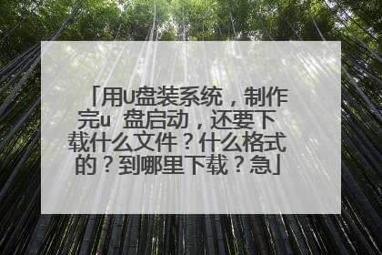 用U盘装系统,制作完u 盘启动,还要下载什么文件?什么格式的?到哪里下载?急