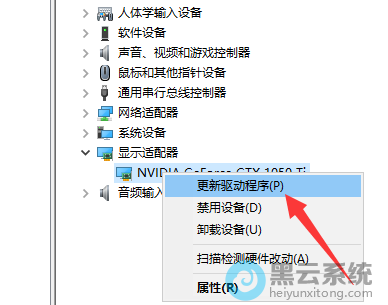 ���¸����Կ���������