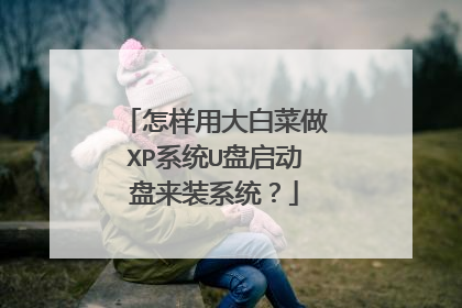 怎样用大白菜做XP系统U盘启动盘来装系统?