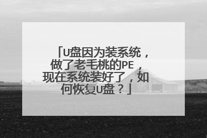 U����Ϊװϵͳ��������ë�ҵ�PE������ϵͳװ���ˣ���λָ�U�̣�