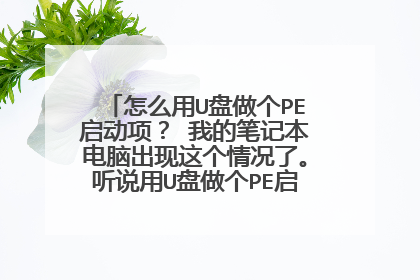 ��ô��U������PE����� �ҵıʼǱ����Գ����������ˡ���˵��U������PE��������á����ʸ�