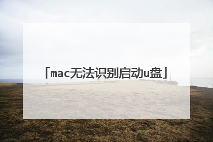 mac无法识别启动u盘