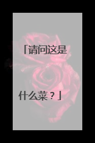 请问这是什么菜?