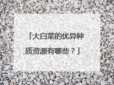 大白菜的优异种质资源有哪些?