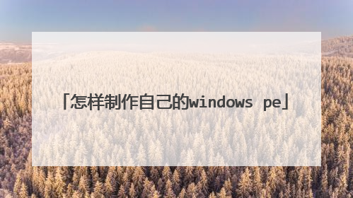 ���������Լ���windows pe