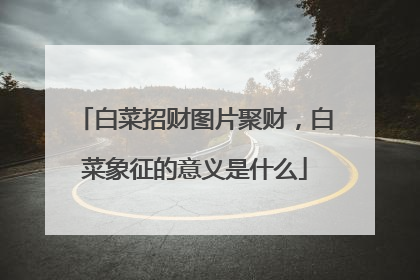 �ײ��в�ͼƬ�۲ƣ��ײ�������������ʲô