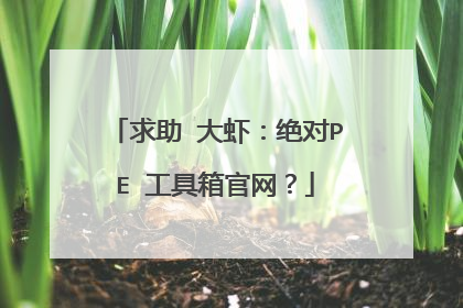 ���� ��Ϻ������PE �����������