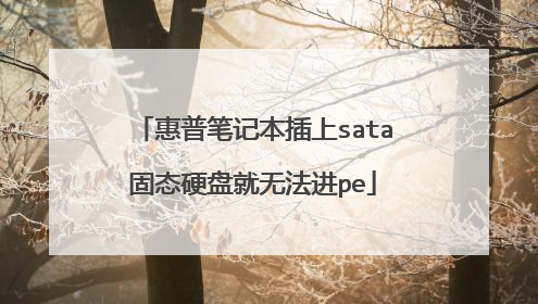 ���ձʼǱ�����sata��̬Ӳ�̾��޷���pe