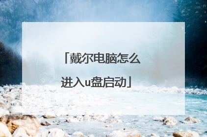 戴尔电脑怎么进入u盘启动