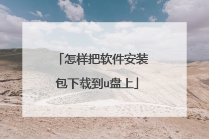 怎样把软件安装包下载到u盘上