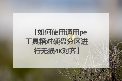 ���ʹ��ͨ��pe�������Ӳ�̷�����������4K����