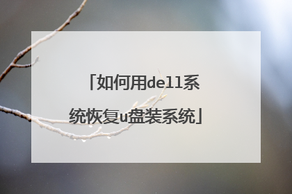 �����dellϵͳ�ָ�u��װϵͳ