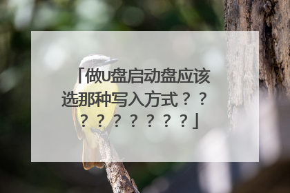 ��U��������Ӧ��ѡ����д�뷽ʽ������������������