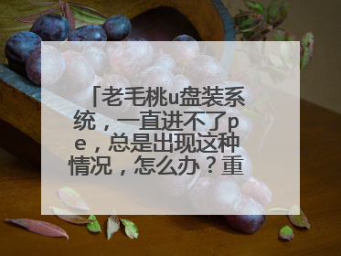 ��ë��u��װϵͳ��һֱ������pe�����ǳ��������������ô�죿�����ü����ˣ�