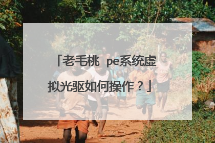 ��ë�� peϵͳ���������β�����