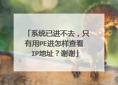 ϵͳ�ѽ���ȥ��ֻ����PE�������鿴IP��ַ��лл