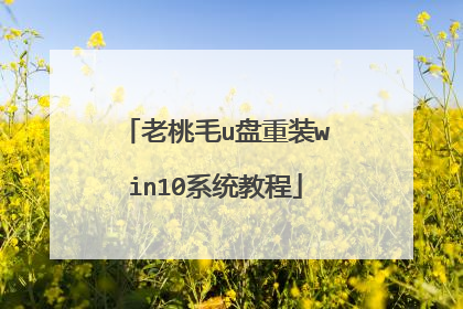 老桃毛u盘重装win10系统教程