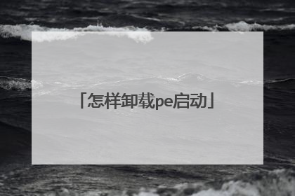 ����ж��pe����