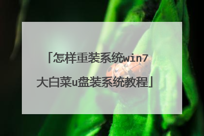 ������װϵͳwin7 ��ײ�u��װϵͳ�̳�