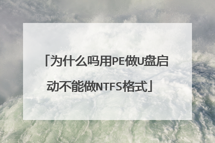 Ϊʲô����PE��U������������NTFS��ʽ