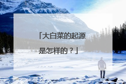 ��ײ˵���Դ�������ģ�