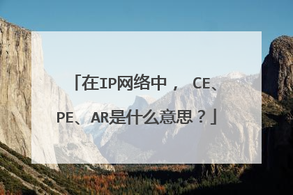 ��IP�����У� CE��PE��AR��ʲô��˼��