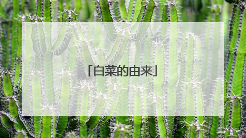 �ײ˵�����