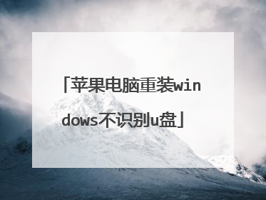 ƻ��������װwindows��ʶ��u��