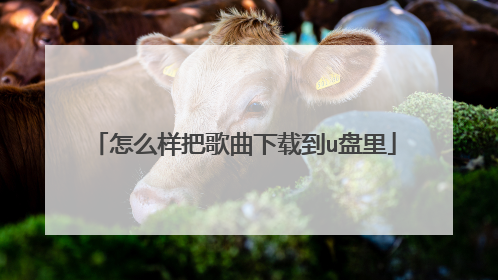 ��ô���Ѹ������ص�u����