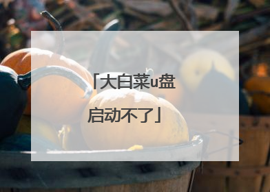 大白菜u盘启动不了