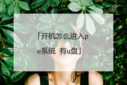 开机怎么进入pe系统 有u盘