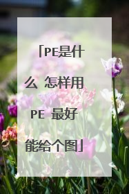 PE是什么 怎样用PE 最好能给个图