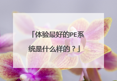 ������õ�PEϵͳ��ʲô���ģ�