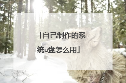 自己制作的系统u盘怎么用