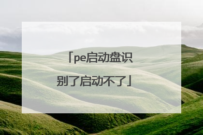 pe������ʶ������������