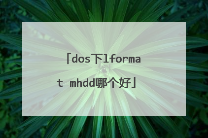 dos��lformat mhdd�ĸ���