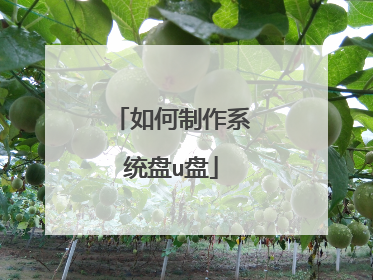 �������ϵͳ��u��