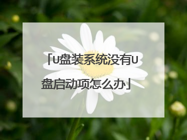 U盘装系统没有U盘启动项怎么办