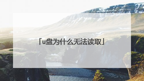 u盘为什么无法读取