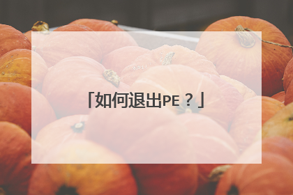 ����˳�PE��