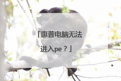 惠普电脑无法进入pe?