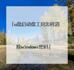 u盘启动盘工具怎样清除windows密码