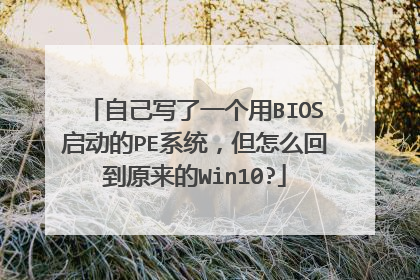 �Լ�д��һ����BIOS������PEϵͳ������ô�ص�ԭ����Win10?